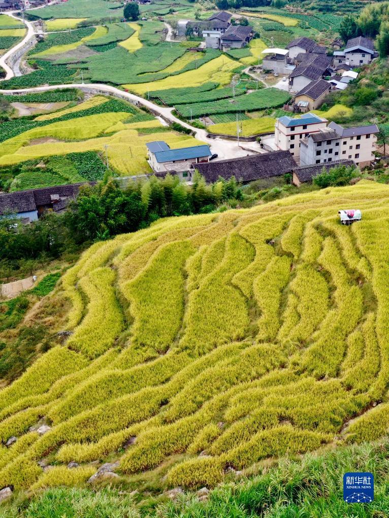 澳门银可老品牌